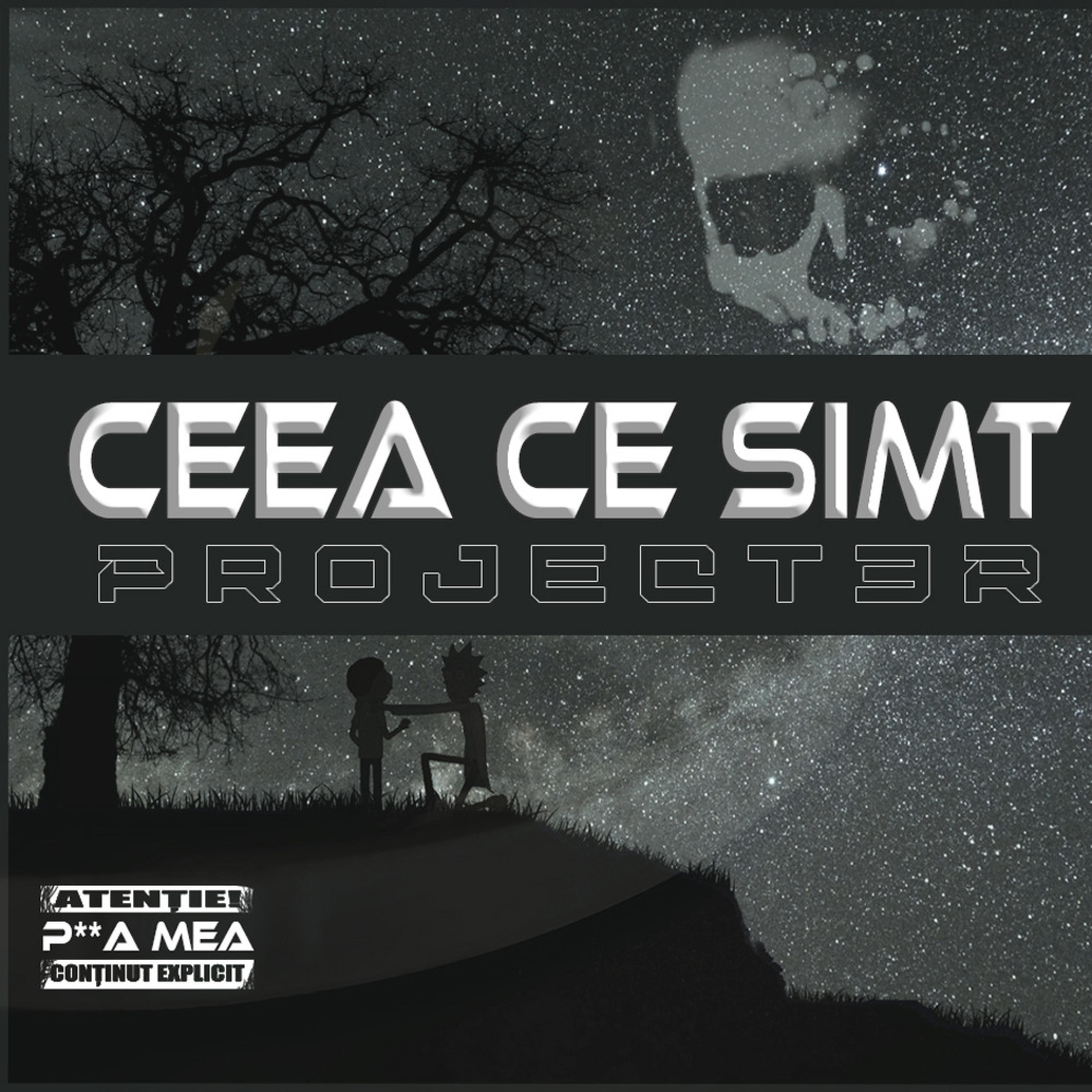 Ceea ce simt